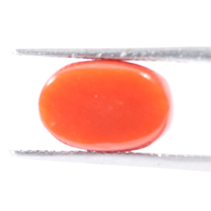 CRL5516 2 1 CORAL 3.88 Ct.