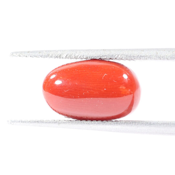 CRL5518 1 1 CORAL 3.34 Ct.