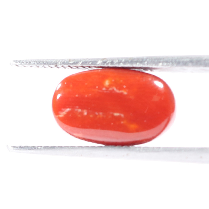 CRL5518 2 1 CORAL 3.34 Ct.