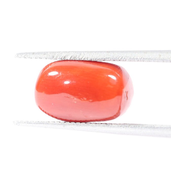 CRL5520 1 1 CORAL 3.9 Ct.