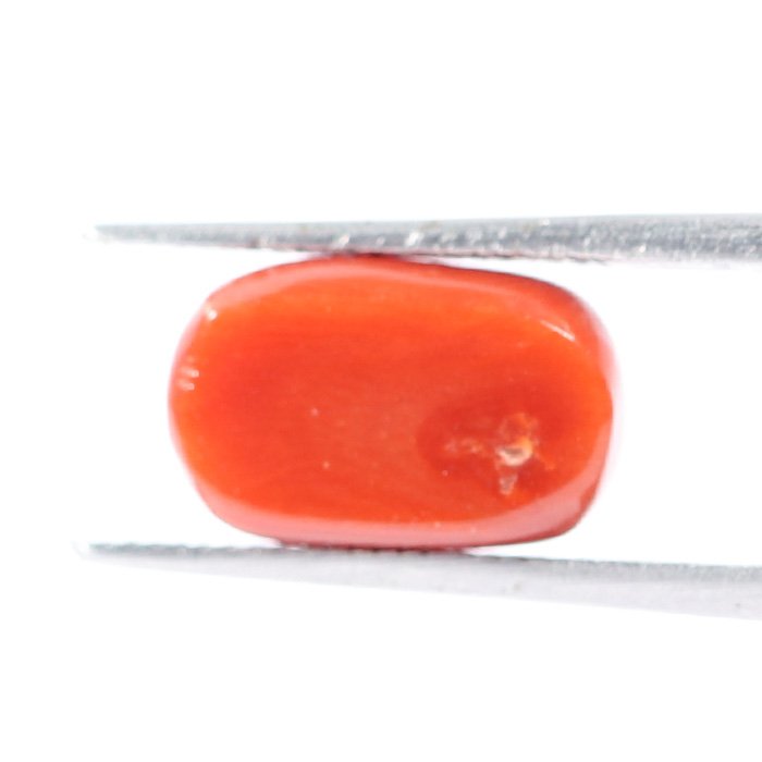 CRL5520 2 1 CORAL 3.9 Ct.
