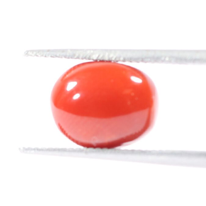 CRL5523 1 1 CORAL 3.25 Ct.