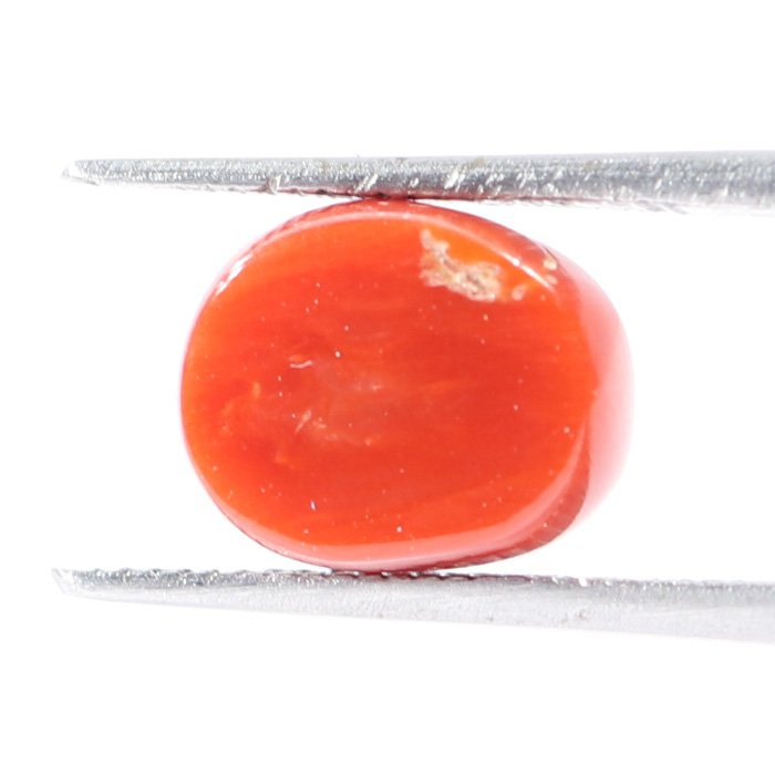 CRL5523 2 1 CORAL 3.25 Ct.