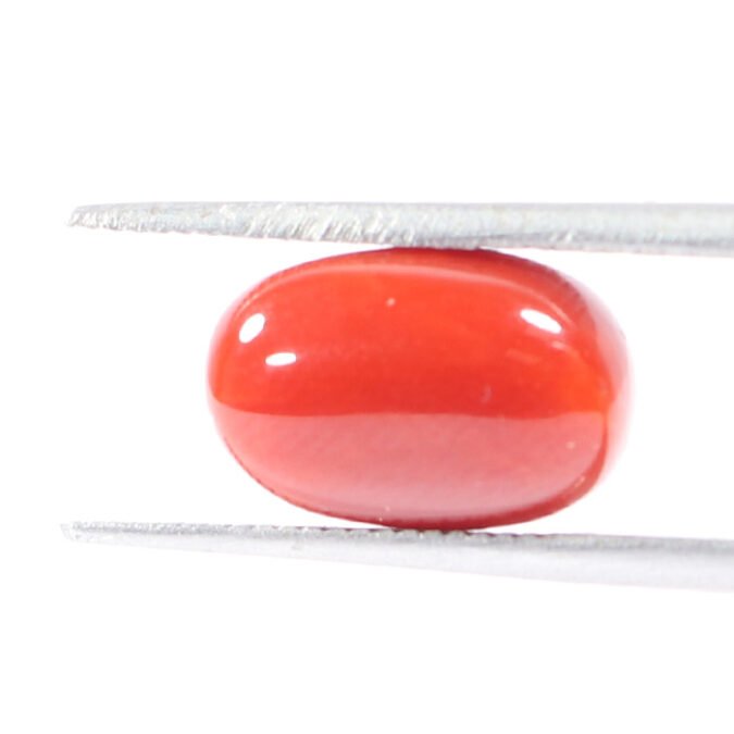 CRL5526 1 1 CORAL 3.45 Ct.