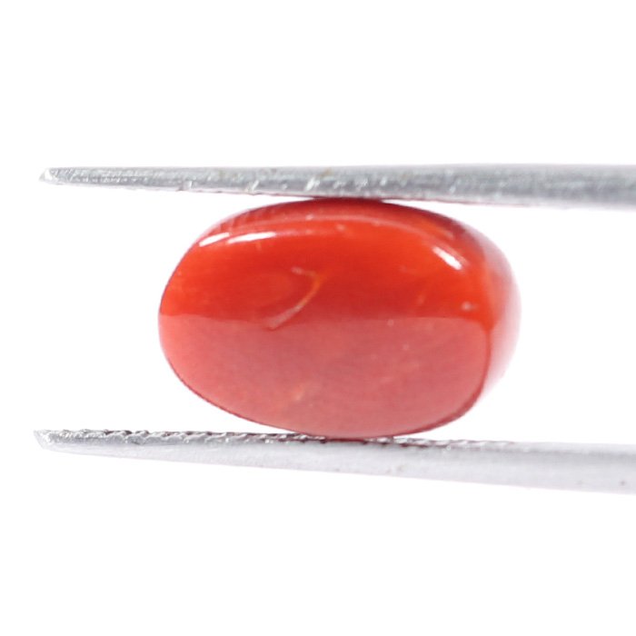 CRL5526 2 1 CORAL 3.45 Ct.