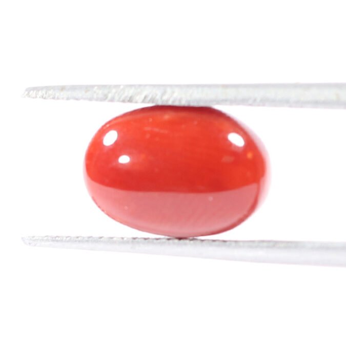 CRL5527 1 1 CORAL 2.87 Ct.