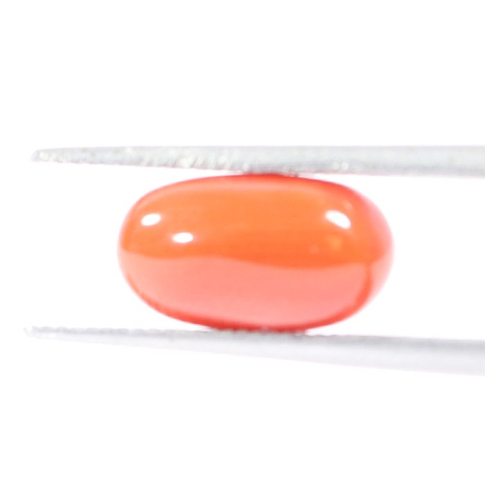 CRL5529 1 1 CORAL 3.14 Ct.