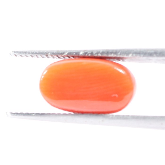 CRL5529 2 1 CORAL 3.14 Ct.