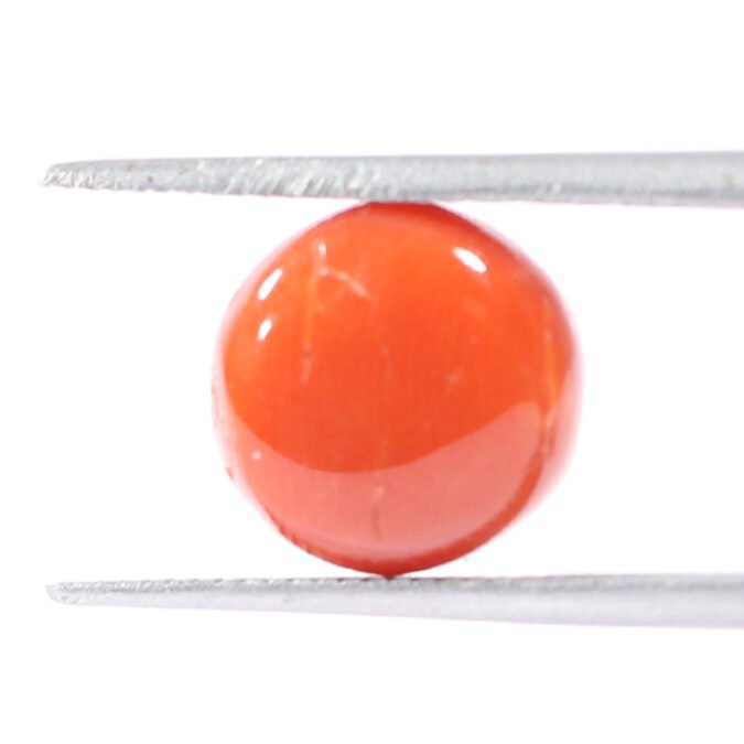 CRL5531 1 1 CORAL 3.3 Ct.