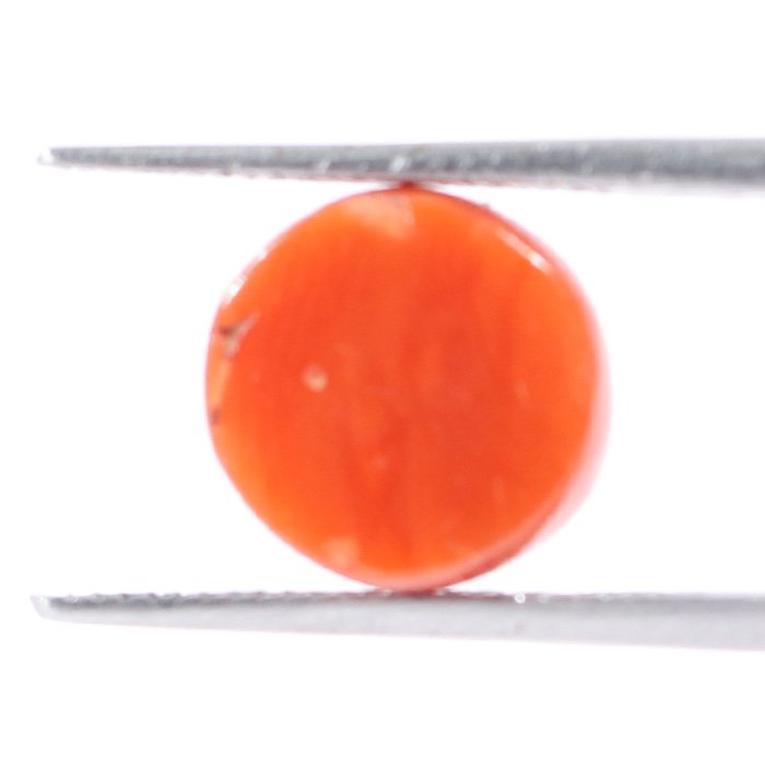 CRL5531 2 1 CORAL 3.3 Ct.