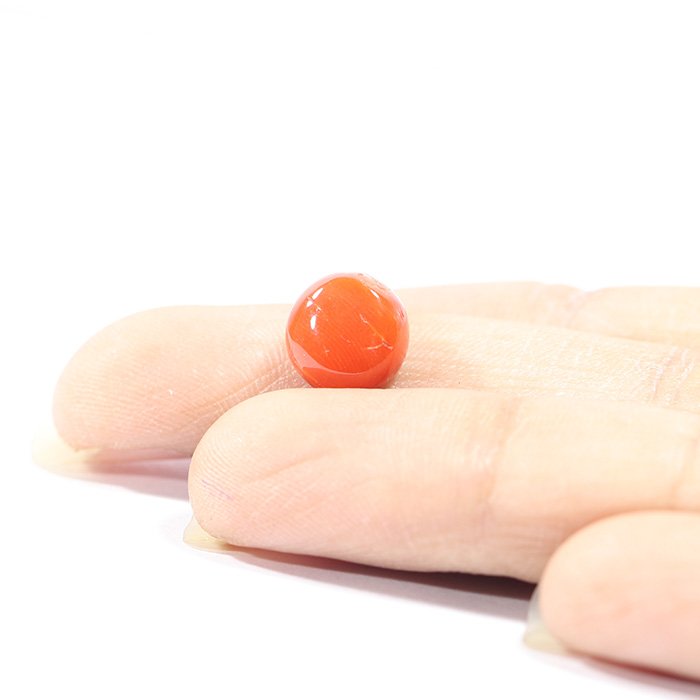 CRL5531 3 1 CORAL 3.3 Ct.