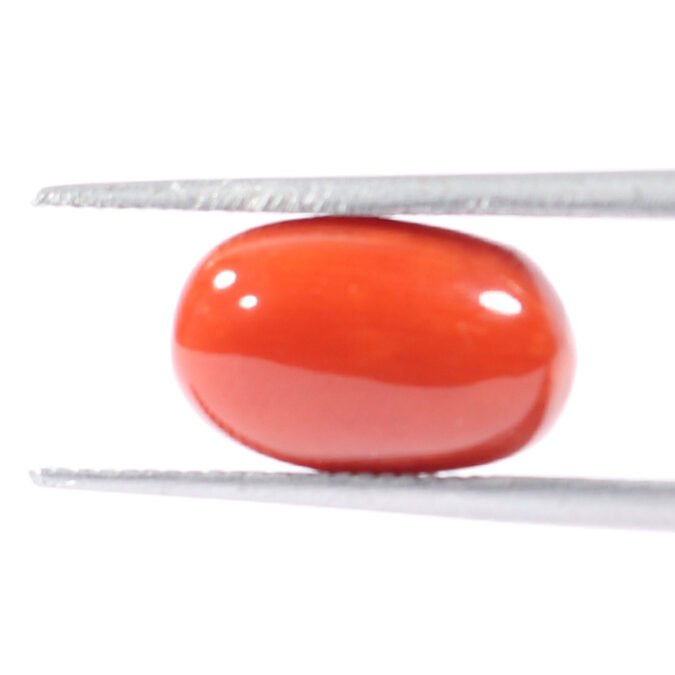 CRL5533 1 1 CORAL 3.63 Ct.