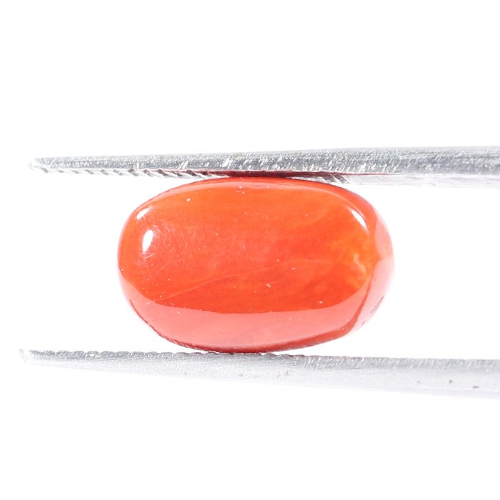 CRL5533 2 1 CORAL 3.63 Ct.
