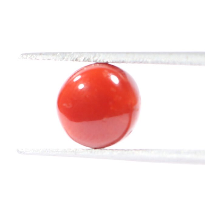 CRL5534 1 1 CORAL 3.13 Ct.