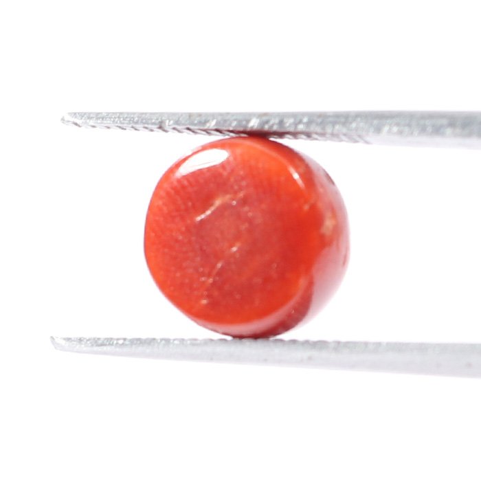 CRL5534 2 1 CORAL 3.13 Ct.