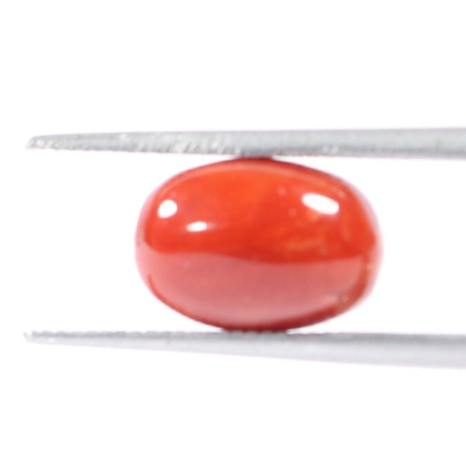 CRL5535 1 1 CORAL 3.13 Ct.