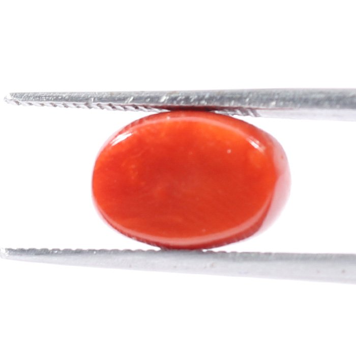 CRL5535 2 1 CORAL 3.13 Ct.