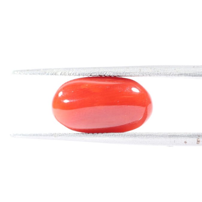 CRL5536 1 1 CORAL 3.55 Ct.