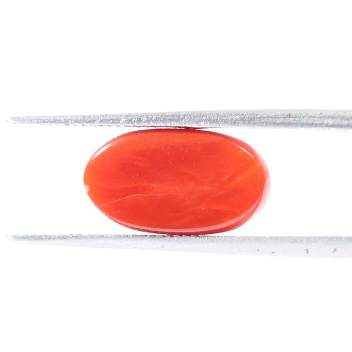 CRL5536 2 1 CORAL 3.55 Ct.