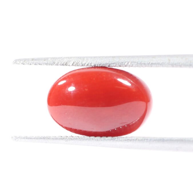 CRL5537 1 1 CORAL 3.13 Ct.