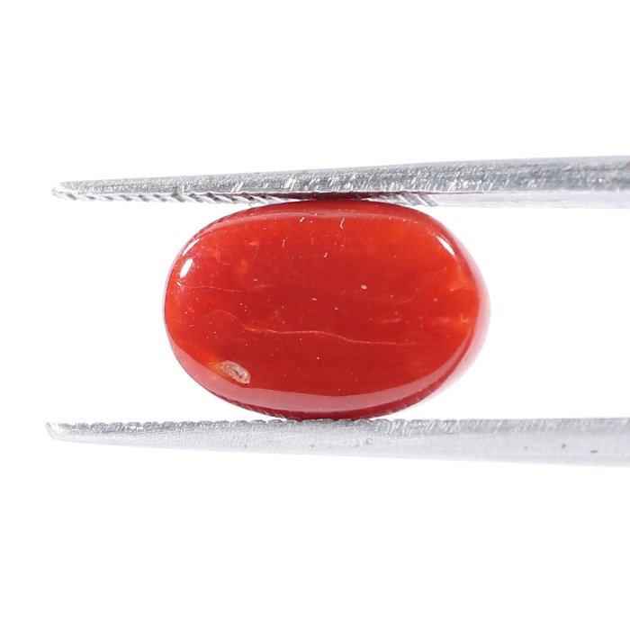 CRL5537 2 1 CORAL 3.13 Ct.