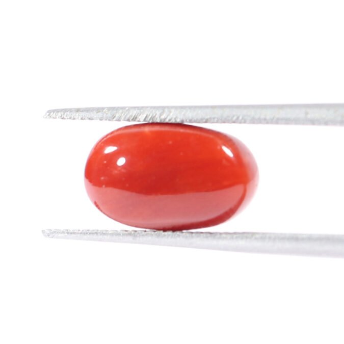 CRL5541 1 1 CORAL 3.08 Ct.
