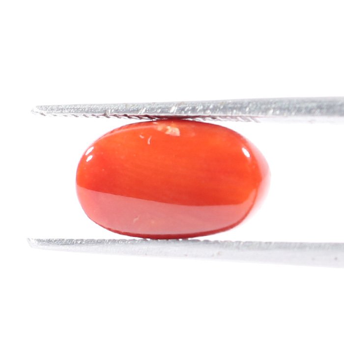 CRL5541 2 1 CORAL 3.08 Ct.
