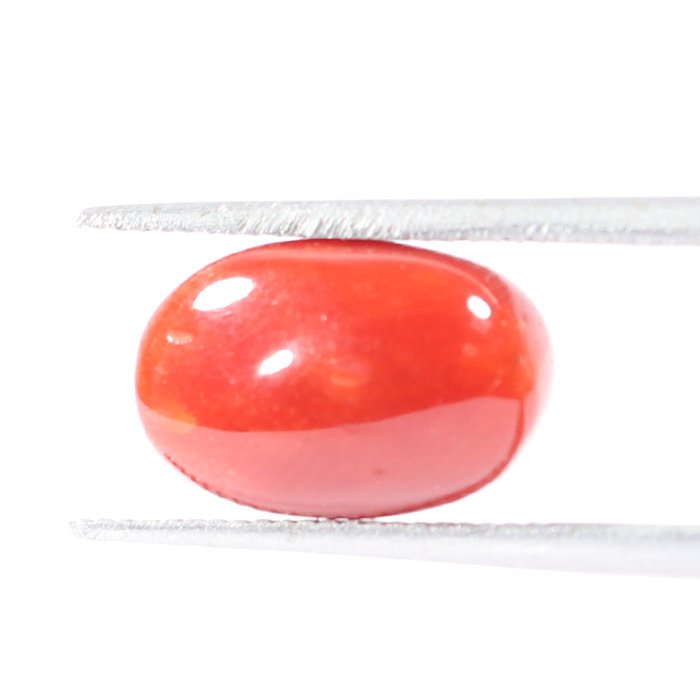 CRL5544 1 1 CORAL 3.19 Ct.