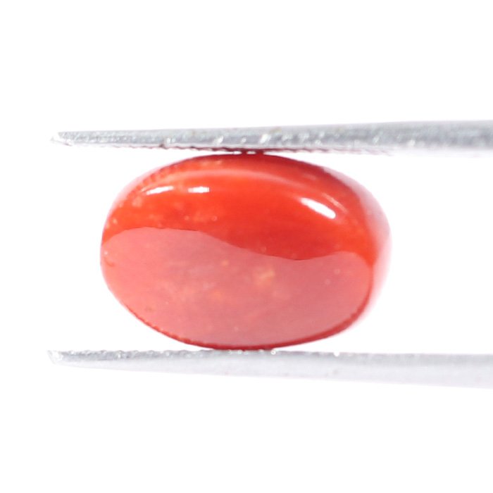 CRL5544 2 1 CORAL 3.19 Ct.