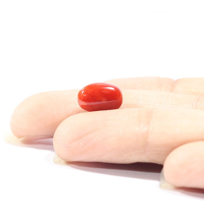 CRL5544 3 1 CORAL 3.19 Ct.