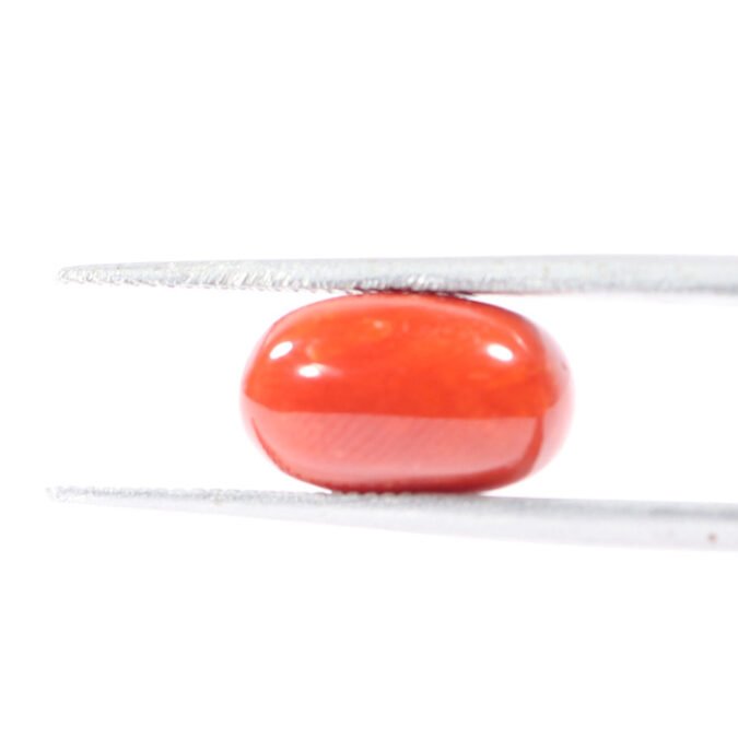 CRL5546 1 1 CORAL 3.72 Ct.