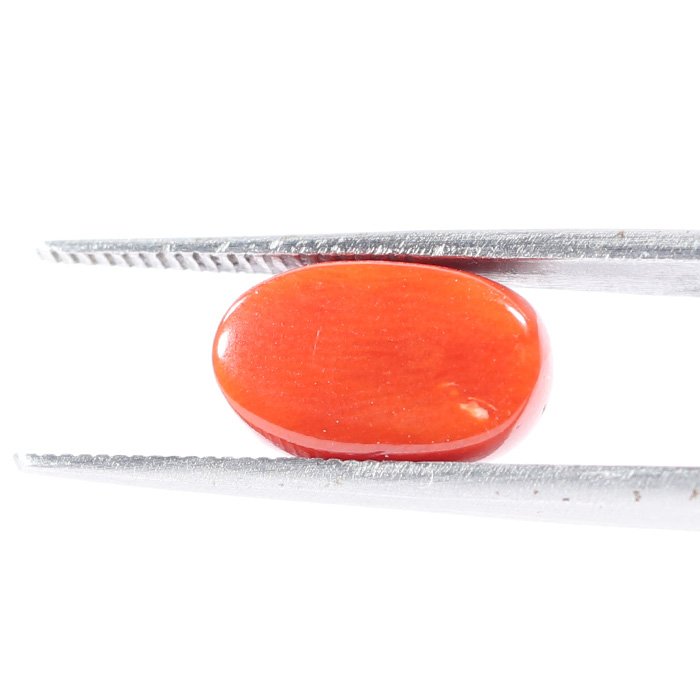 CRL5546 2 1 CORAL 3.72 Ct.