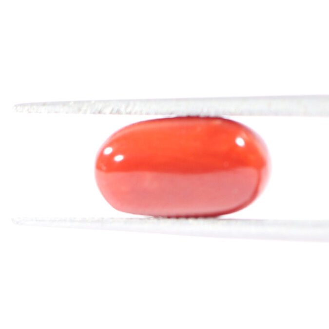 CRL5555 1 1 CORAL 3.53 Ct.