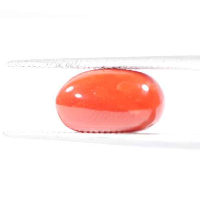 CRL5556 1 1 CORAL 3.37 Ct.