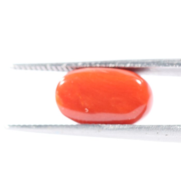 CRL5556 2 1 CORAL 3.37 Ct.
