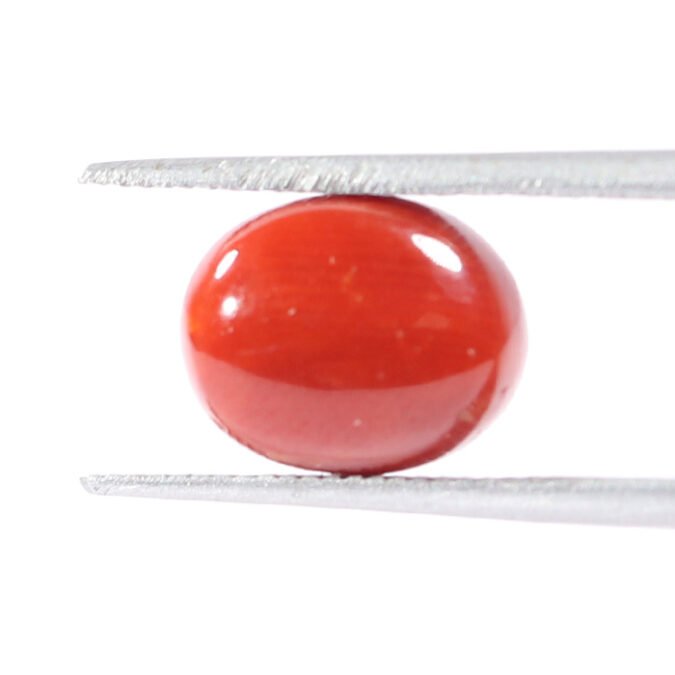 CRL5558 1 1 CORAL 3.16 Ct.