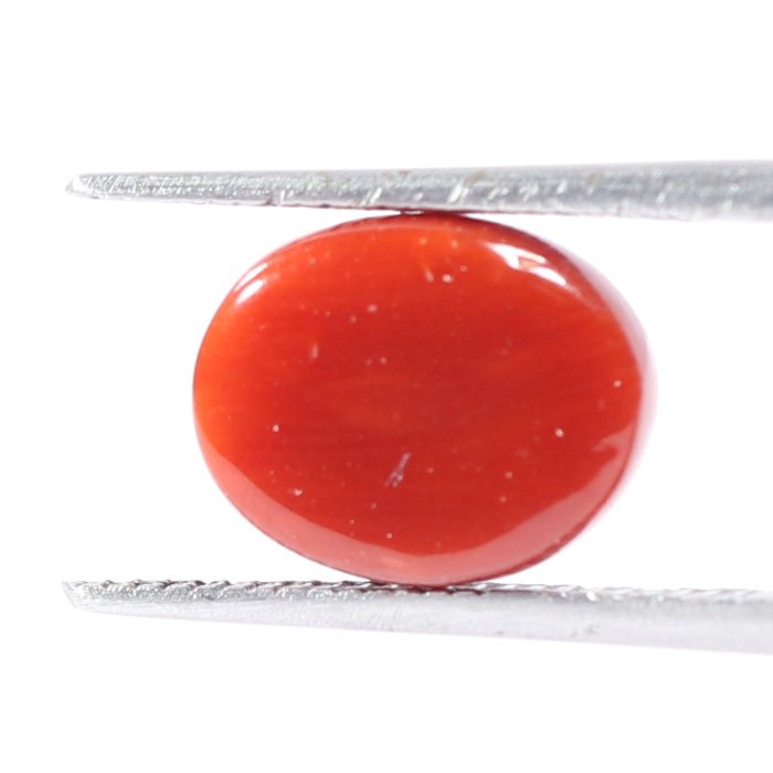 CRL5558 2 1 CORAL 3.16 Ct.