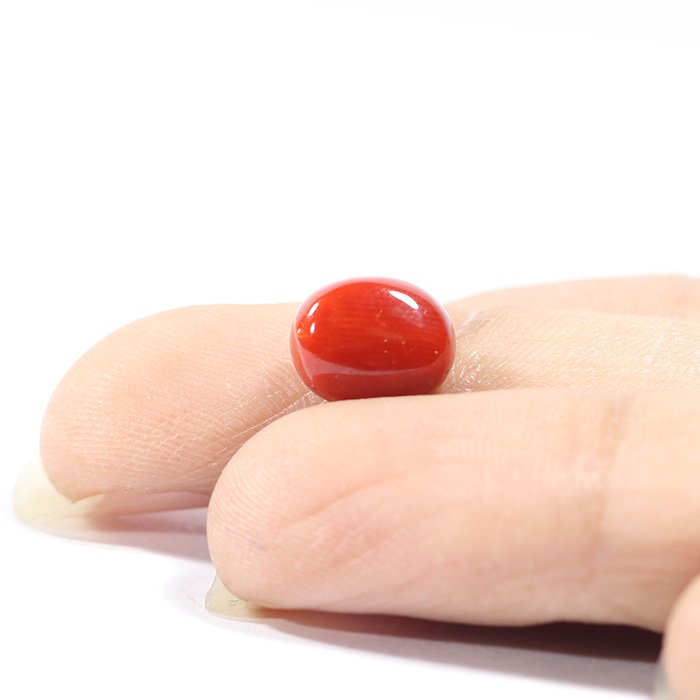 CRL5558 3 1 CORAL 3.16 Ct.
