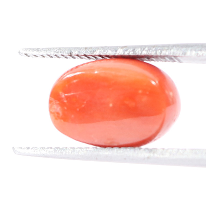 CORAL 3.24 Ct.