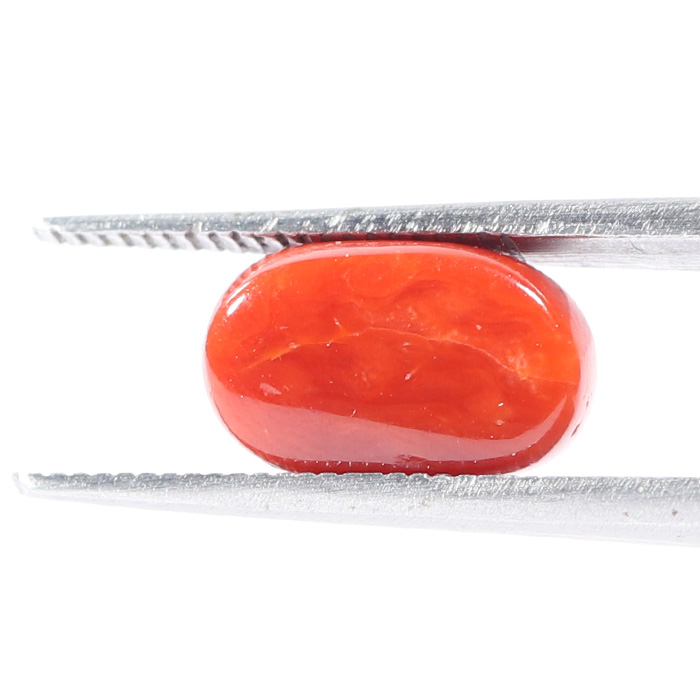 CORAL 3.34 Ct.