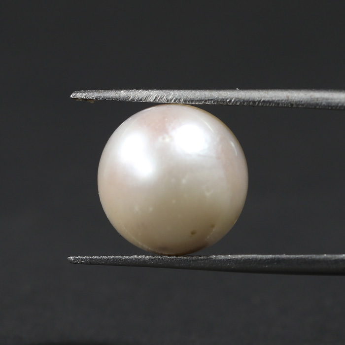 SOUTH SEA PEARL 11.52 Ct.