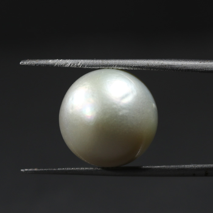 SOUTH SEA PEARL 15.56 Ct.