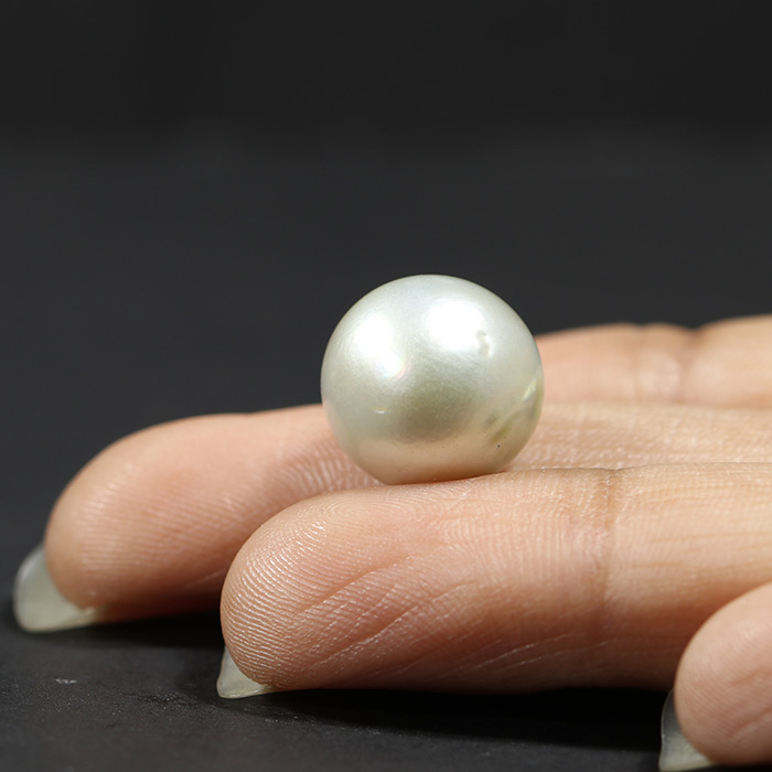 SOUTH SEA PEARL 15.56 Ct.