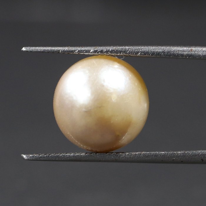 DSP1735 3 1 SOUTH SEA PEARL 9.74 Ct.