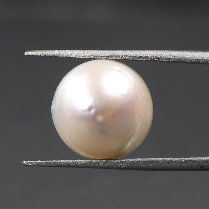 SOUTH SEA PEARL 14.69 Ct.