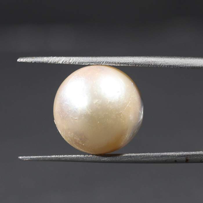 SOUTH SEA PEARL 15.33 Ct.