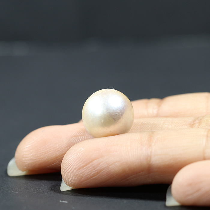 SOUTH SEA PEARL 15.33 Ct.