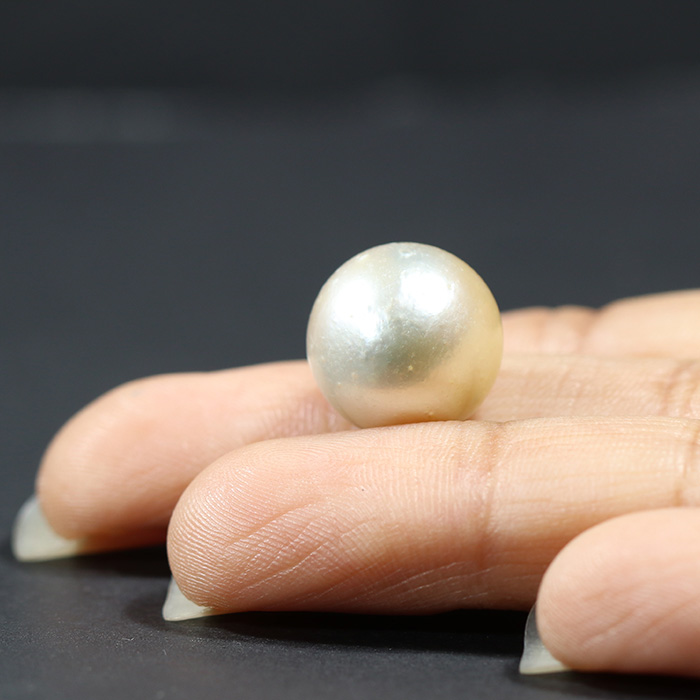 SOUTH SEA PEARL 17.39 Ct.