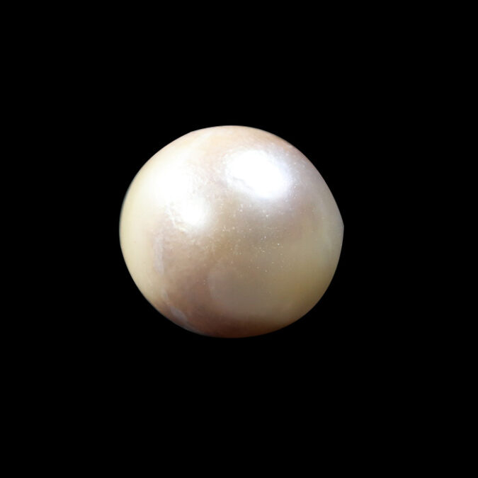 SOUTH SEA PEARL 15.52 Ct.