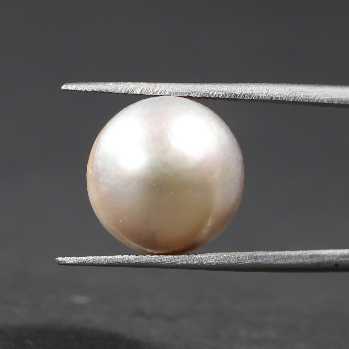 SOUTH SEA PEARL 15.52 Ct.